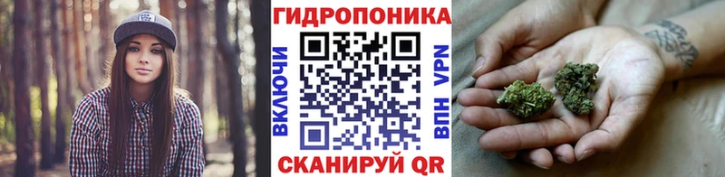 купить  цена  Тамбов  кракен ССЫЛКА  Канабис Amnesia 